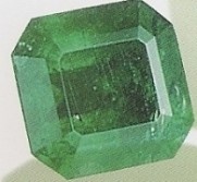 Gem AGSI